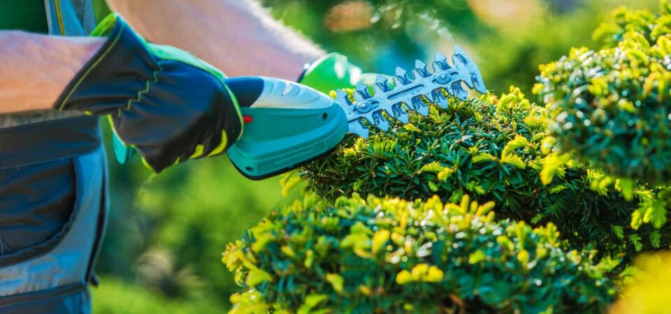 Garden Services Cardiff: Why Hiring Professional Gardeners in Cardiff Is Worth the Investment